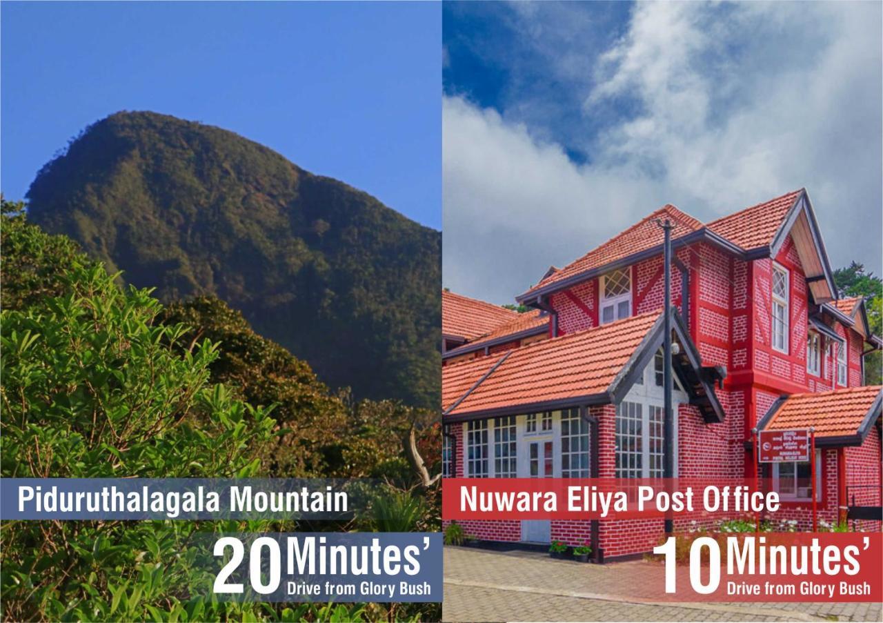 Glory Bush Boutique Villa Nuwara Eliya Exterior foto