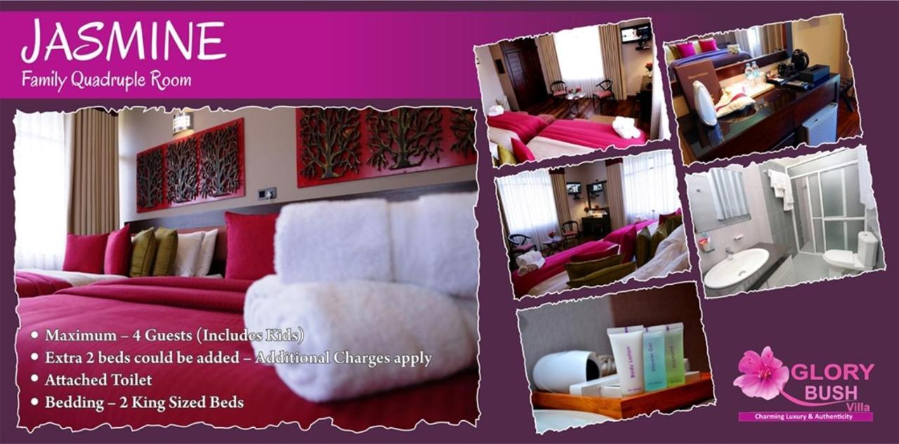 Glory Bush Boutique Villa Nuwara Eliya Exterior foto